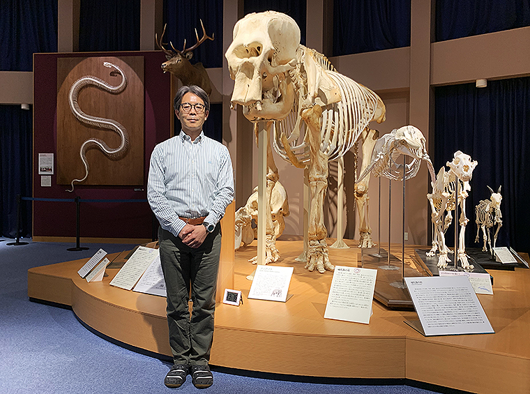 国内唯一ここ麻布大学「いのちの博物館」だけ！ 本物の動物骨格