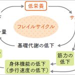 慢性的な低栄養 筋肉量 減少や手術後 退院後のケアに漢方を 漢方薬の選び方を専門医が伝授、クラシエ薬品セミナー