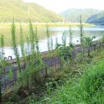 島根県江津市 江津本町のしまね時間、三江線ひとつめの秘境駅と幕府直轄地で栄えた街の面影を探しに