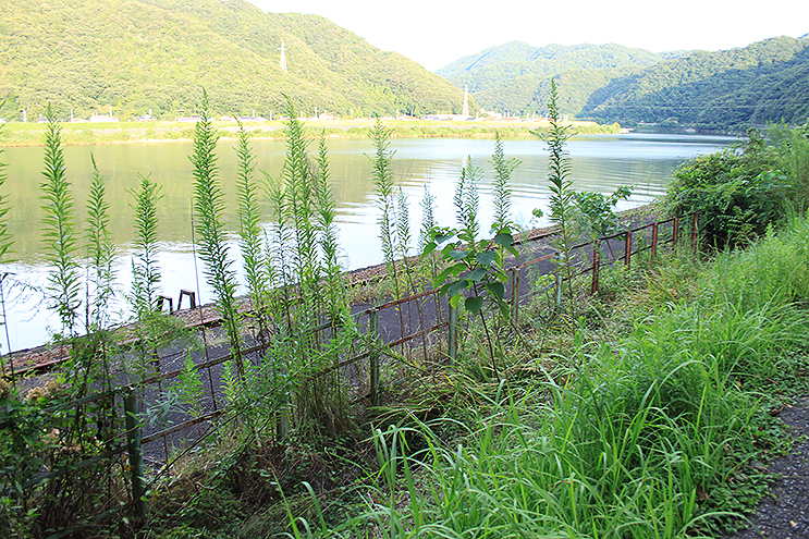 島根県江津市 江津本町のしまね時間、三江線ひとつめの秘境駅と幕府直轄地で栄えた街の面影を探しに