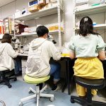 麻布大学がDEI推進センターを設立! 女性研究者・女子学生キャリアを多面的に支援_中学生 高校生がここで学びたいと思うような大学へ