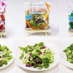サラダクラブのパッケージサラダが大進化！ 新製法で96時間鮮度キープ 消費期限1日延長！ 臭い 変色 細菌を抑え、いつでも新鮮でフードロス削減も 4/1販売＿おすすめワンプレート献立も紹介