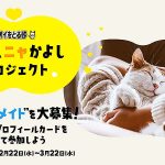 ライオンペット「ずっとニャかよしプロジェクト」に1万3千人超が賛同! 愛猫プロフカード作成&シェアで保護猫支援活動に寄付、ネコの大好きなところやいっしょに暮らすコツを共有
