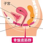 骨盤底筋トレーニング最新トレンドを城西国際大学 理学療法学科 理学療法士が解説、出産や加齢で傷んだ筋肉を鍛えて尿もれや子宮脱の悩み解消へ