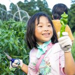 千葉県香取市 農園リゾート ザファーム THE FARM で夏野菜収穫がめちゃ楽しい！ グランピング BBQ カフェ 天然温泉 ジップライン 水遊び 焚き火…年間30万人が遊びに行くその人気度 “年間パス”のお得感も半端ない！