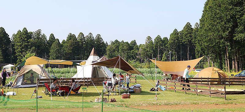 千葉県香取市 農園リゾート ザファーム THE FARM で夏野菜収穫がめちゃ楽しい！ グランピング BBQ カフェ 天然温泉 ジップライン 水遊び  焚き火…年間30万人が遊びに行くその人気度 “年間パス”のお得感も半端ない！ | tokyo chips