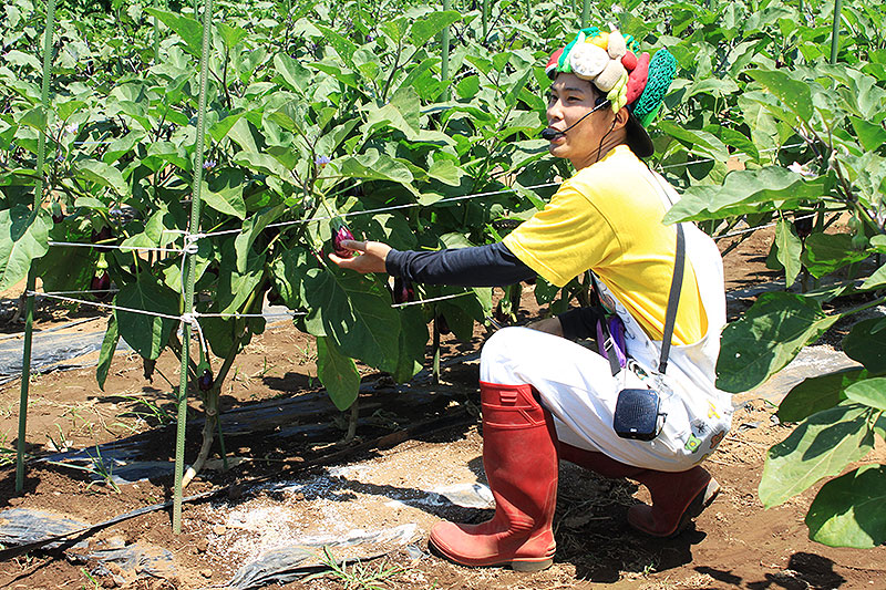 千葉県香取市 農園リゾート ザファーム THE FARM で夏野菜収穫が 千葉県香取市 農園リゾート ザファーム THE FARM で夏野菜収穫が