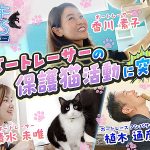ボートレース選手 香川素子 が保護猫活動に取り組む理由とは?14分動画「ウエキTIMES」で植木通彦と清水未唯にその想いを語る!