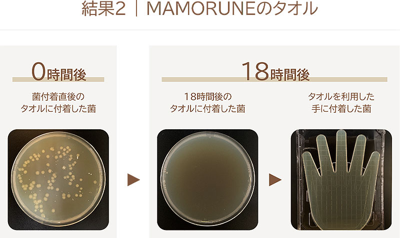 KBツヅキ 抗菌タオル MAMORUNE マモルネ 9/15から発売！天然繊維の柔らかさと抗菌 消臭を両立、10年越し研究の集大成＿防災用やキャンプ用にもおすすめ