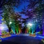 府中の森公園「花と光のムーブメント」10/6~11/5 開催! 幻想的なライトアップや特別花壇、人気マンガ「ちはやふる」フォトスポットが出現