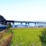 北陸新幹線が延伸したときこそ、急がず福井で途中下車の旅! 知られざる鉄道ビューおしゃれ絶景カフェや老舗そば店をここでチェック! “スルーできない福井時間”を最速紹介