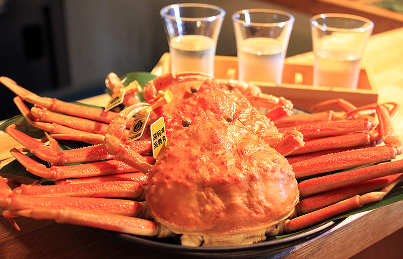 福井県 越前がに＆セイコガニを求めて 北陸新幹線 越前たけふ駅 へ行ったら開業前から大にぎわい！ 名古屋・大阪から福井への最新アクセス情報もここでチェック！