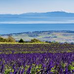 滋賀県 琵琶湖 の絶景絶品は湖西線 近江今津駅から！ 江若鉄道 跡からの今津港 絶品グルメ、そしてびわこ箱館山からの絶景＆ワクワク乗り物＆アート空間、今津ヴォーリズ資料館の名建築も…