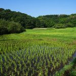 町田市の知られざる大自然の居心地をいまこそ体感！ 多摩都市モノレール延伸計画で注目を集める町田市小野路町のジブリな里山風景へ