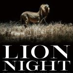安達建之 写真展「LION NIGHT」1/17～1/21 ＠東京 青山 スパイラルガーデンで開催、夜行性ライオンの真実の姿がここで明らかに＿by ロイヤル・アーツ