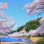 滋賀県 湖西線 マキノ駅から琵琶湖人気ビーチ 海津の歴史街道 マキノ高原 湖岸桜の絶景へ、港町の歴史と老舗がつくる絶品 極上シガリズム時間！ 湖畔の超うま鮒寿し＆酒蔵銘酒で滋賀グルメにハマるならいまここ