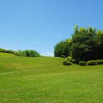 東京都町田市 小山田緑地の圧倒的自然美に惹かれて移住する人のリアル「自分だけの大好きなの森で仕事する幸せ」多摩モノレール町田延伸で大注目の「町田の住心地」