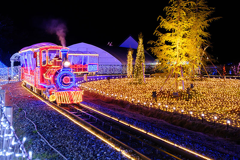 滋賀県 琵琶湖の東 伊吹山の西――米原は絶景 絶品へと誘うスタート地点、新幹線 鉄道車両基地から英国庭園を行くローザンベリー多和田の機関車列車へ＿近江長岡駅から三島池の神秘的風景へ