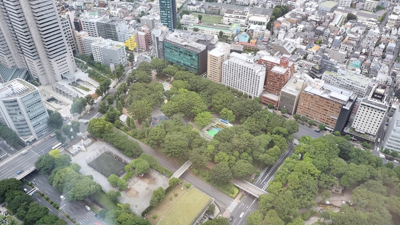 江戸時代から栄えた西新宿淀橋エリア。新旧融合目指す再開発に、地元商店の声は？