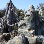 東武動物公園に新サル山『あかげ365』出現! お猿さんたちにエサあげたり間近で観察できたりめっちゃかわいい! 遊園地&動物園&植物園のハイブリッドレジャーランドで思いっきり遊ぼう