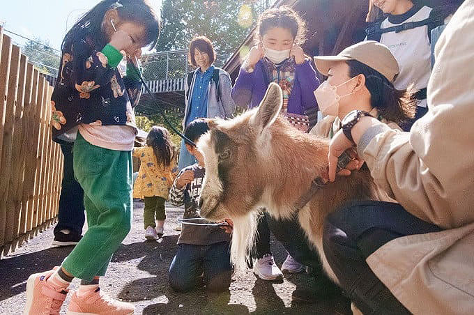 盛岡市動物公園 ZOOMO に「誰もが見学できる開かれた動物病院」クラファン型ふるさと納税で建設費募集中＿11月までに目標1億円