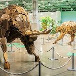 東京 有楽町駅前 SusHi Tech Square「人間×自然×技術=未来展」で屋内で涼しく遊びながら学ぼう! 夏休み特別開催ワークショップ&イベントで自由研究もクールにクリア!
