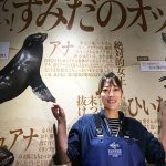 すみだ水族館 いいえそれはオットセイ展 3/5～4/25 開催＿間違い続出で飼育員がガチ企画、リアル事実が自虐的すぎて笑えてオットセイ好きになる！ ごはんタイムも間近で観察OK