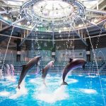 猛暑の夏は“涼しい水族館”で!イルカと踊る盆踊りも楽しめる『品川花火まつり』が2夜限定で開催決定 マクセル アクアパーク品川