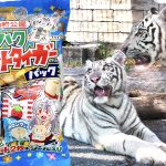 東武動物公園 ホワイトタイガー兄弟 コタ&ハク 園内限定うまい棒パック&アクリルキーホルダー超★ぃ! ポストカード2枚とシールつき アド街 東武鉄道沿線 5週連続 放送だし!