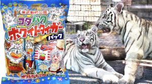 東武動物公園限定ホワイトタイガーキティ 2種 まとめ6個 東武動物公園 ぬいぐるみ マスコット ホワイトタイガーの通販 by