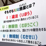 大阪万博「選んで守るサカナの未来 Week」の衝撃「日本人は奴隷労働 人身売買に加担している」IUU漁業でとれた魚を知らずに食べてるいま MSC 海のエコラベル や ASCラベル を選ぶ“知”