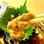 香川県 遊食房屋と多度津高校が「讃岐うどん雲丹」共同開発 海藻を食い荒らすムラサキウニを再活用し飼育 藻場再生と資源循環を両立 県内店舗から提供開始し2027年全国展開めざす
