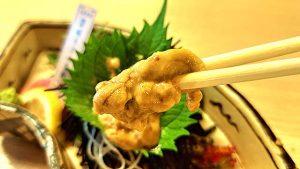 香川県 遊食房屋と多度津高校が「讃岐うどん雲丹」共同開発 海藻を食い荒らすムラサキウニを再活用し飼育 藻場再生と資源循環を両立 県内店舗から提供開始し2027年全国展開めざす