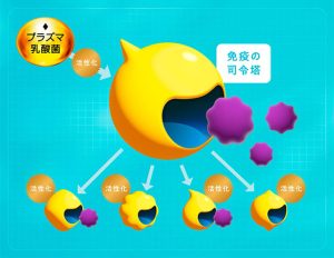 冬のウイルス対策の新常識！キリンの「プラズマ乳酸菌」が新型コロナウイルスとインフルエンザウイルスの増殖を抑えるメカニズムとは？