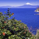 スルガ銀行　地元高校生と静岡 伊豆 土肥エリアを自転車で走り新たな魅力を発掘　静岡県公式観光アプリ TIPS を活用し地域観光活性化へ　12/23.24 土肥 中伊豆を2日間かけてサイクリング