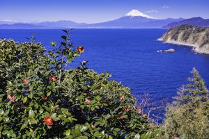 スルガ銀行　地元高校生と静岡 伊豆 土肥エリアを自転車で走り新たな魅力を発掘　静岡県公式観光アプリ TIPS を活用し地域観光活性化へ　12/23.24 土肥 中伊豆を2日間かけてサイクリング