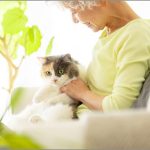 LIFULL 介護　老人ホーム 介護施設 検索サイト　ペットと入れる老人ホームの意識を調査　認知率は4割未満　費用 条件 入居者逝去後の方針など確認を　ライフル LIFULL senior