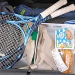 398円 ふぞろいいちご 冬のシアワセ時間☆ 産地の茨城県 常総市 行方市にも行きたい♪ 都心からクルマや電車でスグだし霞ヶ浦のおだやかな水面の景色に癒やされたいし◎　逸品見つけた！