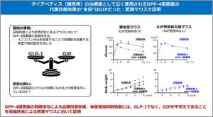 岐阜大 藤田医科大 関西電力医学研究所 京都大学　糖尿病 肥満症 治療にGIPの重要性を公表　GIPシグナル研究の深度で新規治療の創出に期待　治療薬DPP-4阻害薬の真の主役はGIPか