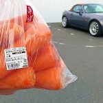 茨城県 鉾田市 産 にんじん 14本 500円☆☆☆　東関東自動車道 潮来IC～鉾田IC ことし開通を目前に霞ヶ浦沿いをドライブし 空港前「空のえき そ・ら・ら」で　逸品見つけた！　