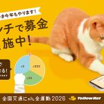 イエローハット　猫を交通事故から守る全国交通にゃん全運動　リアル会場とWEBでいろいろ開催☆　2/20～2/22 渋谷マークシティで「猫パンチで募金」 新CM放映や店舗プレゼントなど多彩♪